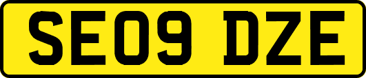 SE09DZE