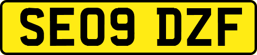 SE09DZF