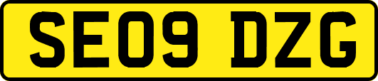 SE09DZG