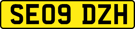 SE09DZH