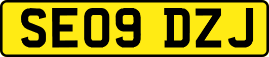 SE09DZJ