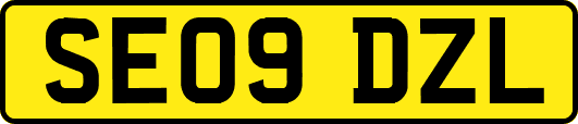 SE09DZL