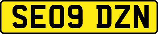 SE09DZN