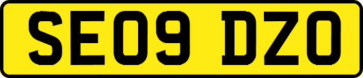 SE09DZO