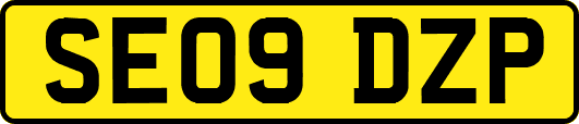 SE09DZP