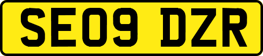 SE09DZR