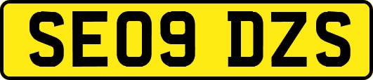 SE09DZS