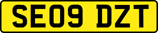 SE09DZT