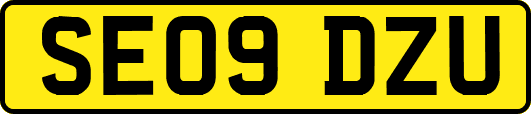 SE09DZU