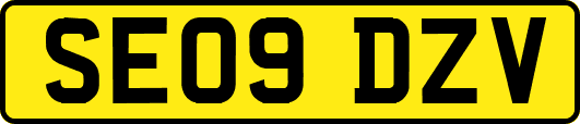 SE09DZV