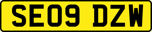 SE09DZW