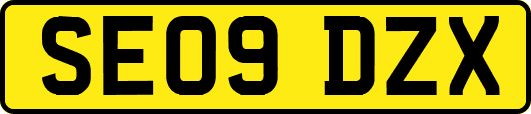 SE09DZX