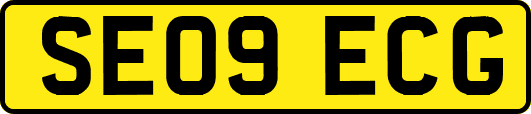 SE09ECG