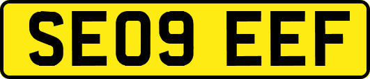 SE09EEF
