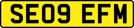 SE09EFM