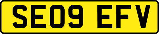 SE09EFV