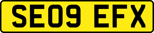 SE09EFX