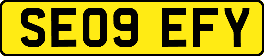 SE09EFY