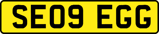 SE09EGG