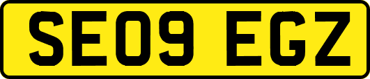 SE09EGZ