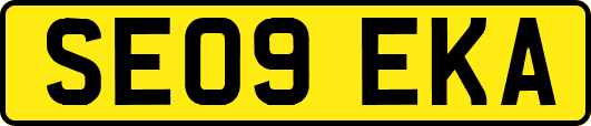 SE09EKA