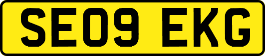 SE09EKG
