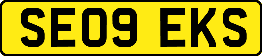 SE09EKS