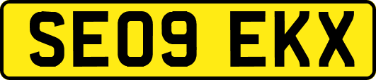 SE09EKX