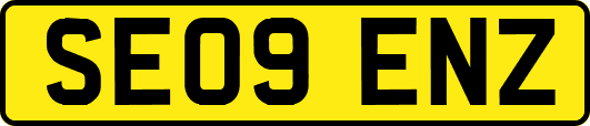 SE09ENZ