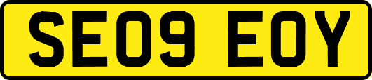 SE09EOY