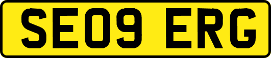 SE09ERG