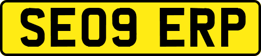 SE09ERP