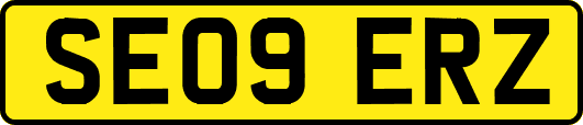 SE09ERZ