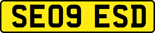 SE09ESD