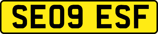 SE09ESF