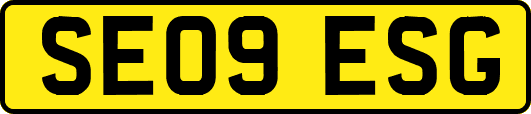 SE09ESG