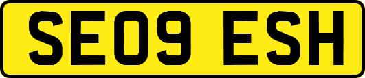 SE09ESH