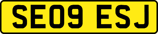 SE09ESJ