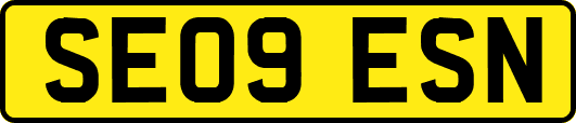 SE09ESN