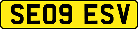 SE09ESV