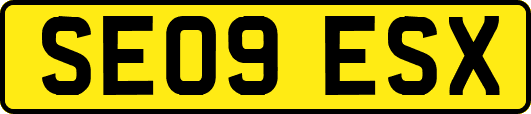 SE09ESX