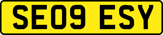 SE09ESY
