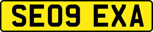 SE09EXA