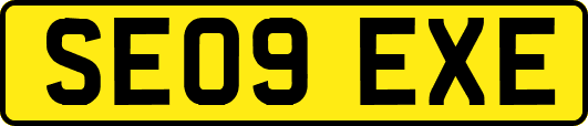 SE09EXE