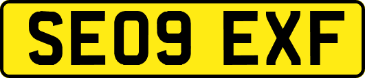 SE09EXF