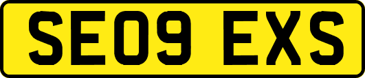 SE09EXS