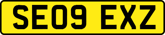 SE09EXZ