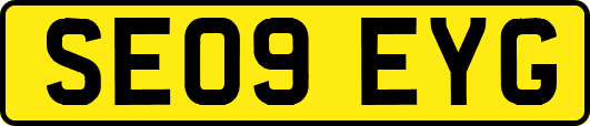 SE09EYG