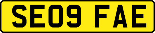 SE09FAE