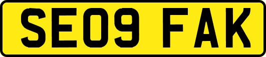 SE09FAK
